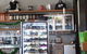 Health Freak Cafe - thumb 2