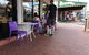 Maleny Bakery - thumb 1