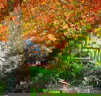 The Woods Ravensbourne - Hotel VIC