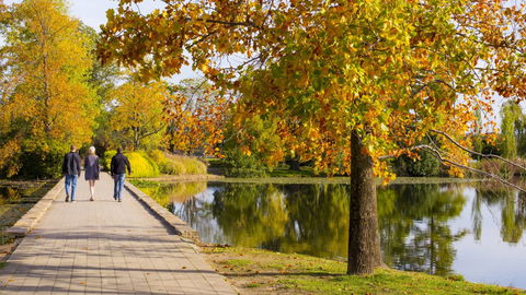 Crowne Plaza Canberra - Hotel VIC 17