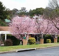 White Lanterns Motel - Hotel VIC