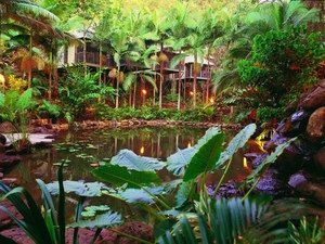 Daintree Eco Lodge & Spa - Hotel VIC 0