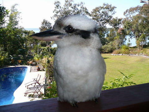 Yarrandabbi Dreaming Boutique B&B - Hotel VIC 2