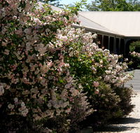 Wine Village Motor Inn - Hotel VIC