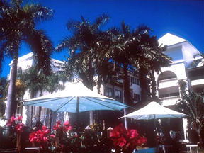 Alamanda Palm Cove - Hotel VIC 1
