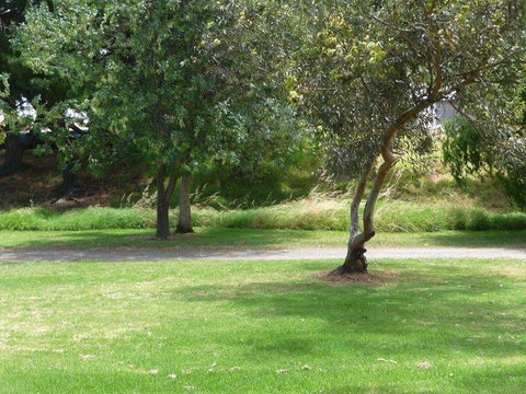 Victor Harbor Holiday Park - Hotel VIC 24