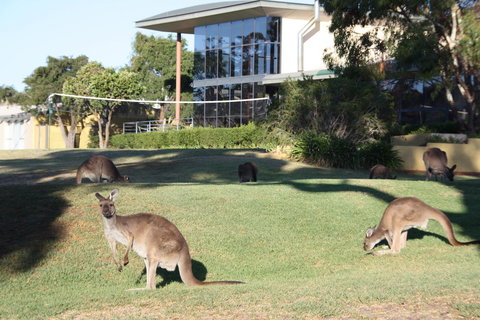 BreakFree Wirrina Cove - Hotel VIC 28