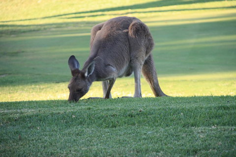 BreakFree Wirrina Cove - Hotel VIC 24