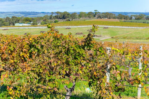 Sun & Surf Aldinga Beach Apartment - Hotel VIC 15