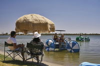 Book Barmera Accommodation Vacations Hotel VIC Hotel VIC