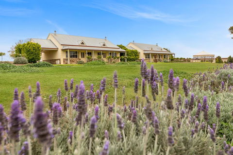 Barossa Vineyard Cottages - Hotel VIC 10