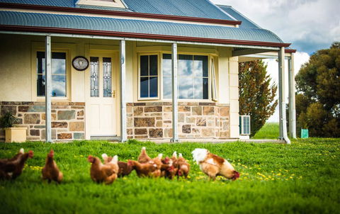 Barossa Vineyard Cottages - Hotel VIC 40