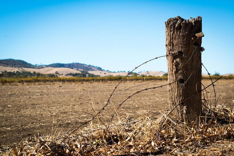 Barossa Vineyard Cottages - Hotel VIC 5