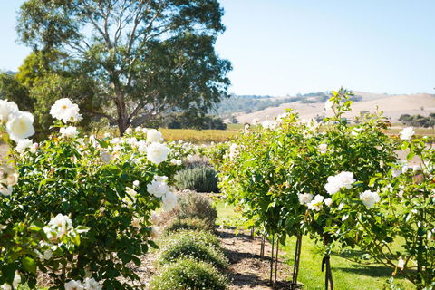 Barossa Vineyard Cottages - Hotel VIC 1