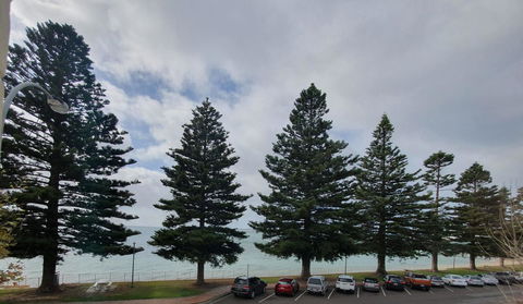 Pier Hotel Port Lincoln - Hotel VIC 12