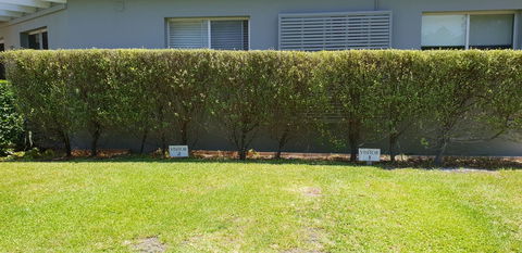 2 Austinmer Studio - Hotel VIC 12