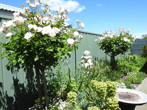Sanctuary In The Valley - Hotel VIC 13