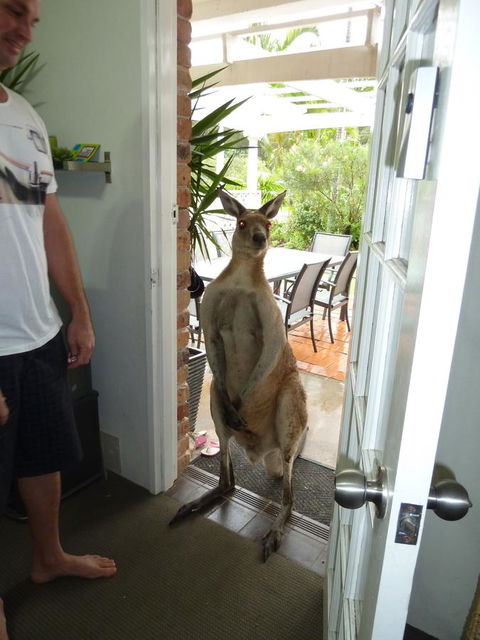 Aston Motel Yamba - Hotel VIC 10