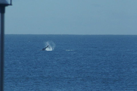 Noah\'s On The Beach - Hotel VIC 13