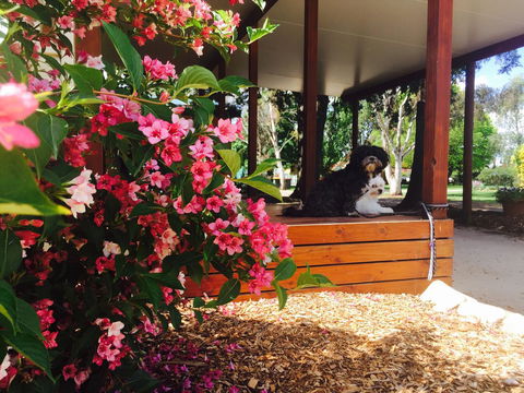 Armidale Tourist Park - Hotel VIC 34