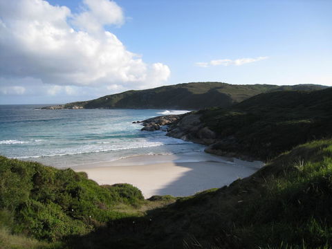 Albany Motel & Apartments - Hotel VIC 23