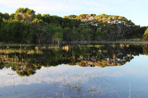 Sapphire Chalets, Augusta - Hotel VIC 14
