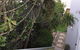 Churchill View Forster - thumb 13