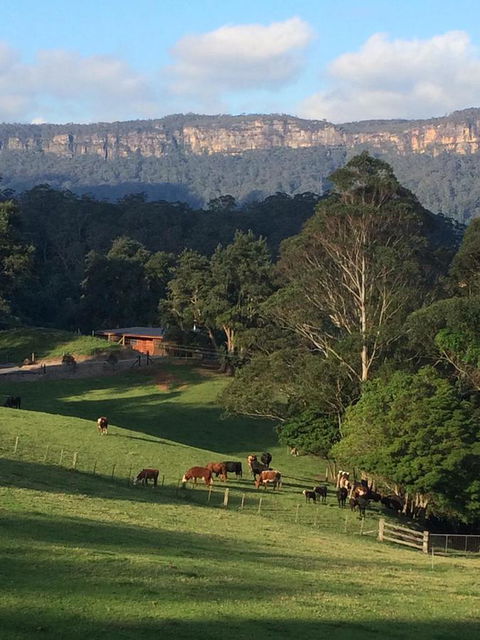 Amaroo Valley Springs - Hotel VIC 0
