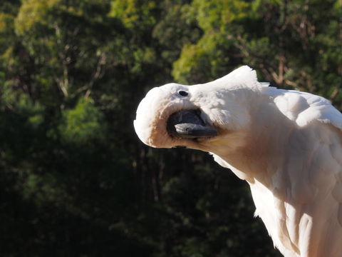 Bundle Hill Cottages - Hotel VIC 1