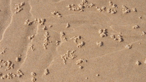 Bundle Hill Cottages - Hotel VIC 4