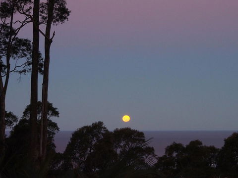 Bundle Hill Cottages - Hotel VIC 36