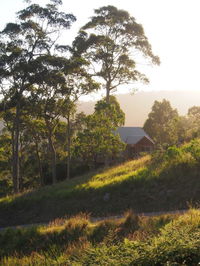 Book Bawley Point Accommodation Vacations Hotel VIC Hotel VIC