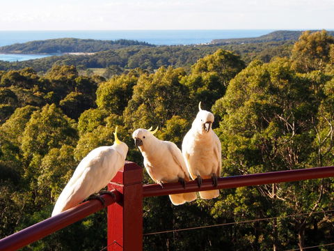 Bundle Hill Cottages - Hotel VIC 2