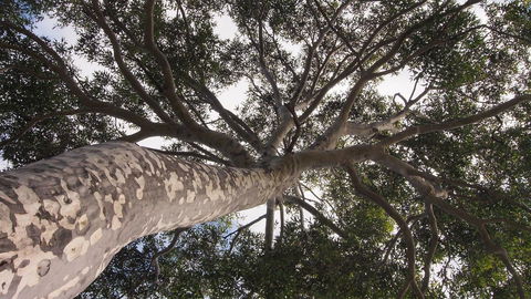 Bundle Hill Cottages - Hotel VIC 20