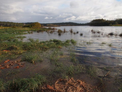 Bundle Hill Cottages - Hotel VIC 31