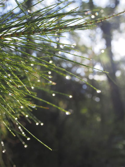 Bundle Hill Cottages - Hotel VIC 5