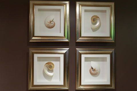 Peppers The Hills Lodge - Hotel VIC 11