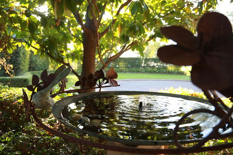 Peppers The Hills Lodge - Hotel VIC 30