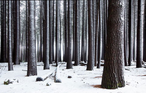 Pound Creek Gallery - Hotel VIC 2