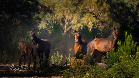 Pound Creek Gallery - Hotel VIC 18