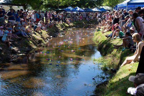 Pound Creek Gallery - Hotel VIC 15