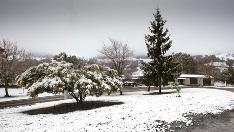 Pound Creek Gallery - Hotel VIC 8