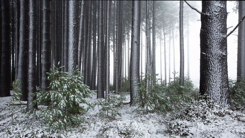 Pound Creek Gallery - Hotel VIC 1