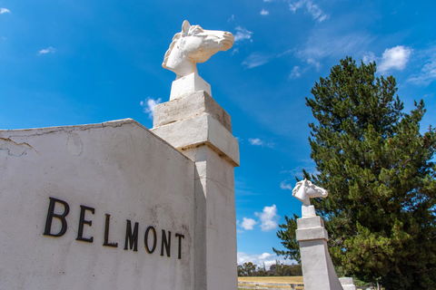Belmont - Hotel VIC 4