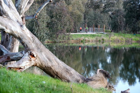 Mercure Albury - Hotel VIC 15