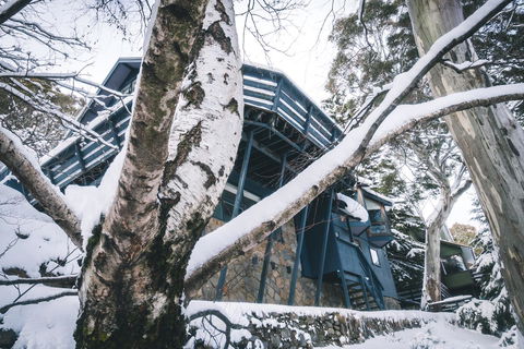 Pure Chalet Thredbo - Hotel VIC 21