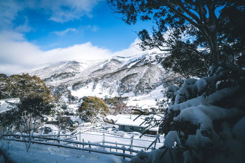 Pure Chalet Thredbo - Hotel VIC 31