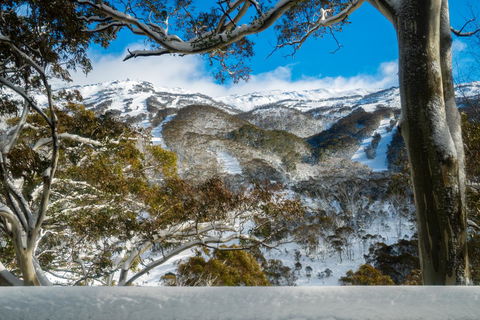 Pure Chalet Thredbo - Hotel VIC 17