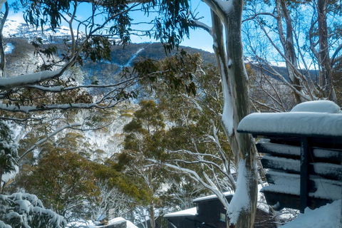 Pure Chalet Thredbo - Hotel VIC 30