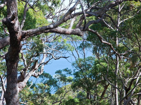 Bynya - 100m To Jonahs! - Hotel VIC 1